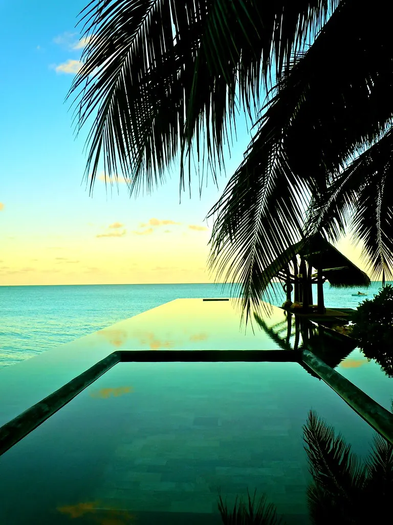 A pool at sunset framed by palms