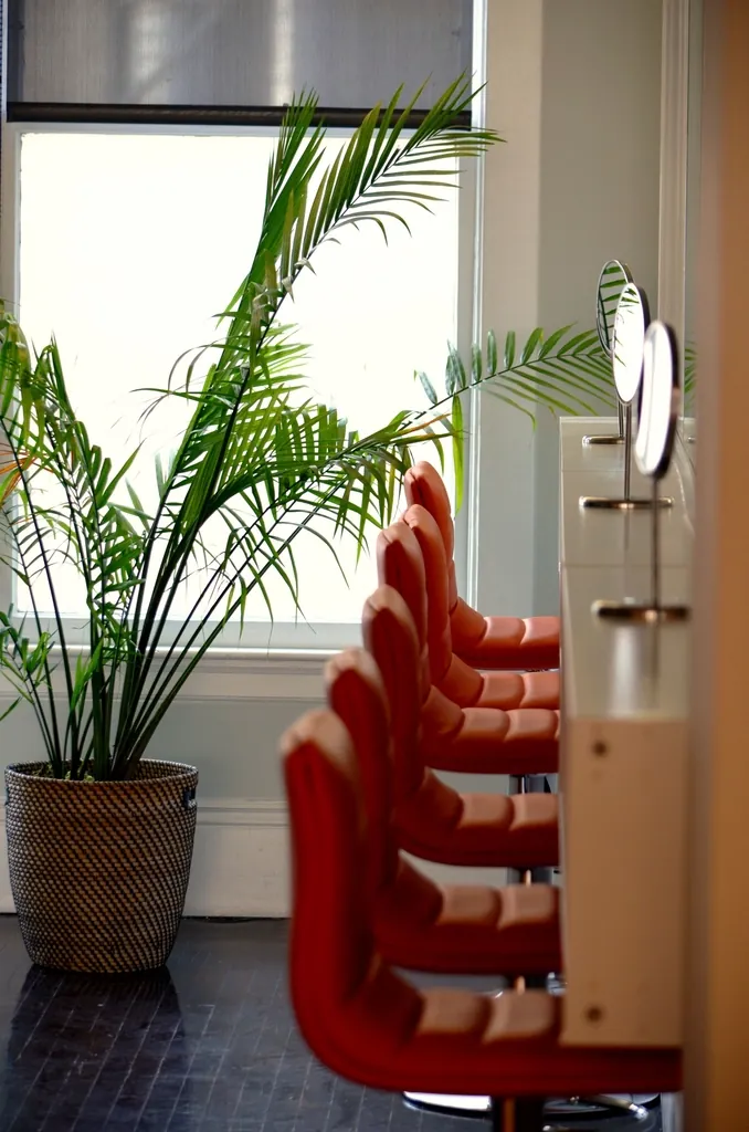Styling chairs beside the window
